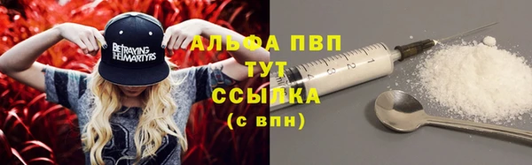 крисы Белокуриха