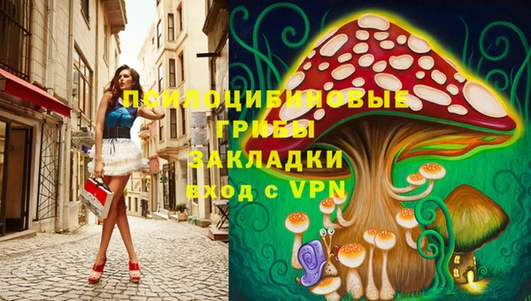 крисы Белокуриха