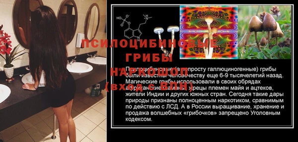 прущие крисы Белоозёрский