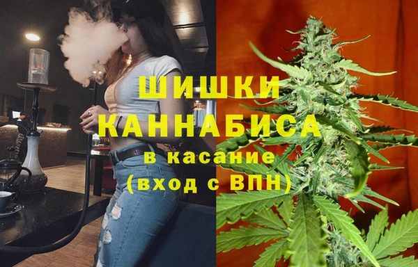 крисы Белокуриха